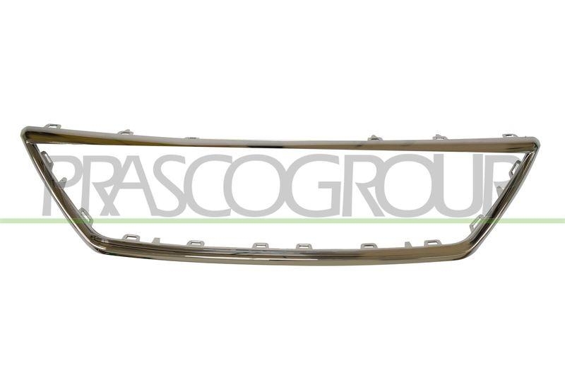 Frame, radiator grille