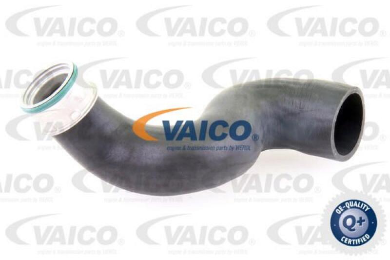 VAICO Charger Air Hose Q+, original equipment manufacturer quality