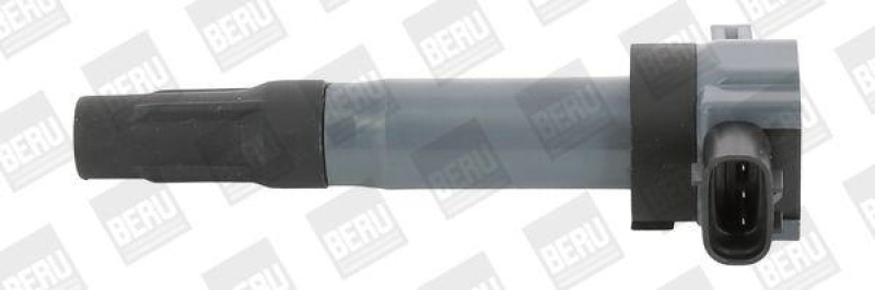 BorgWarner (BERU) Zündspule