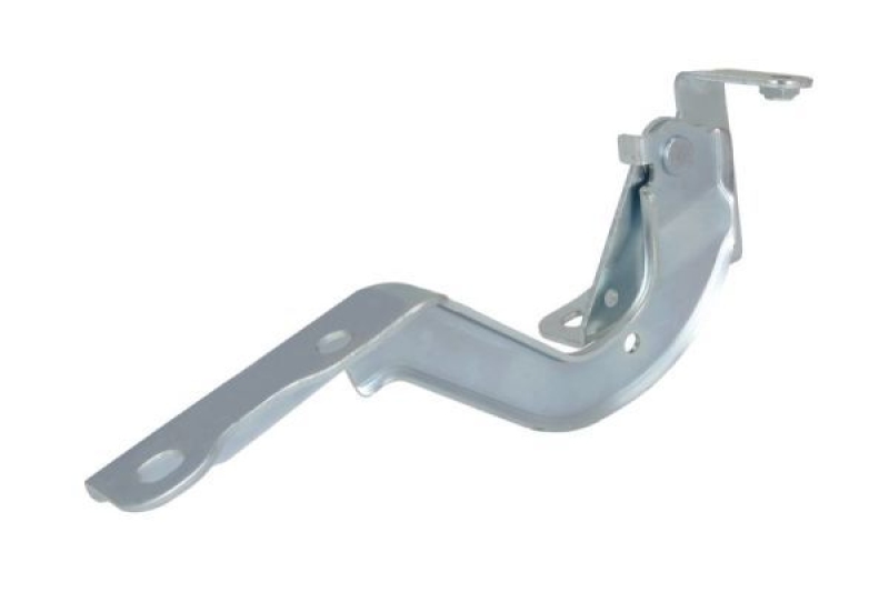 BLIC Hinge, bonnet
