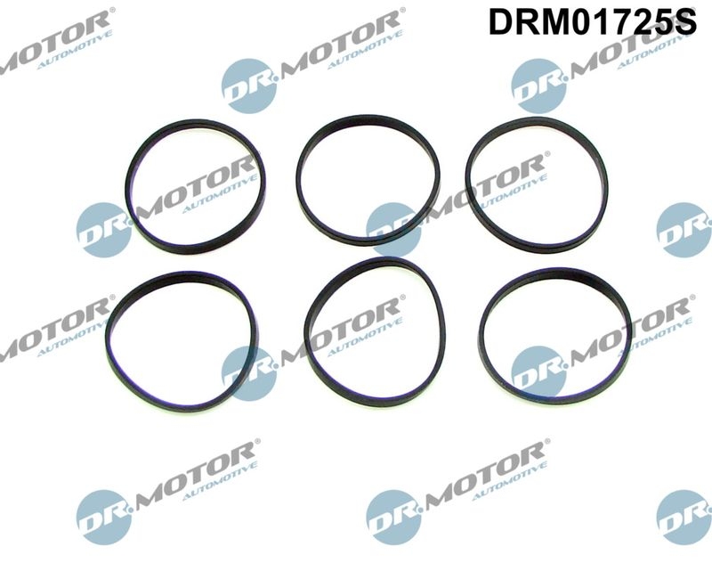 Dr.Motor Automotive Gasket Set, intake manifold