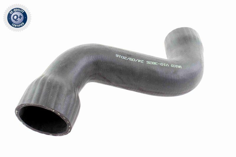 VAICO Charger Air Hose Q+, original equipment manufacturer quality