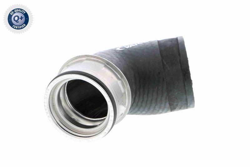 VAICO Charger Air Hose Original VAICO Quality
