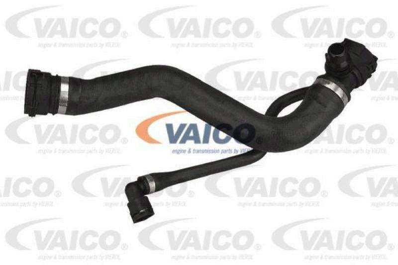 Radiator Hose