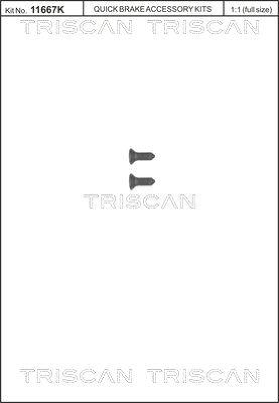 TRISCAN Bolt, brake disc