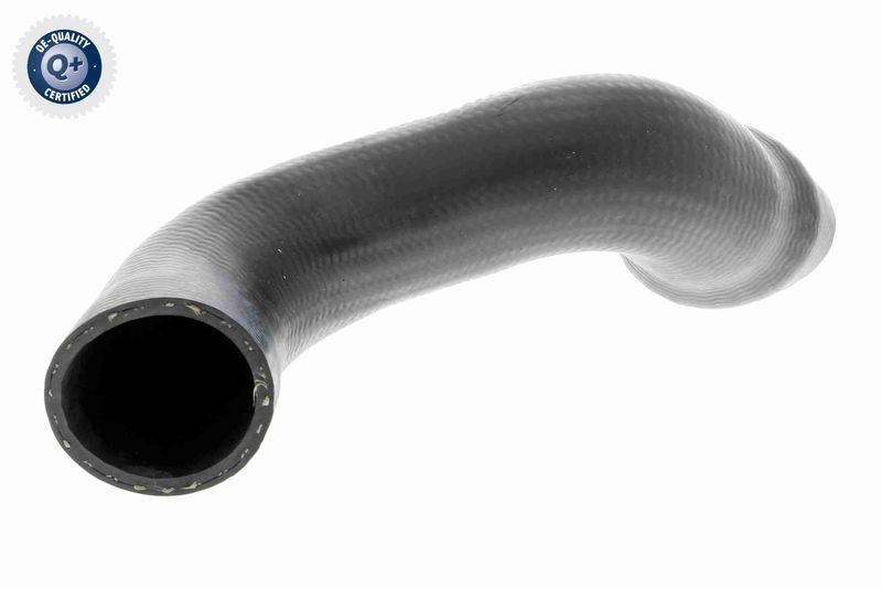 VAICO Charger Air Hose Q+, original equipment manufacturer quality