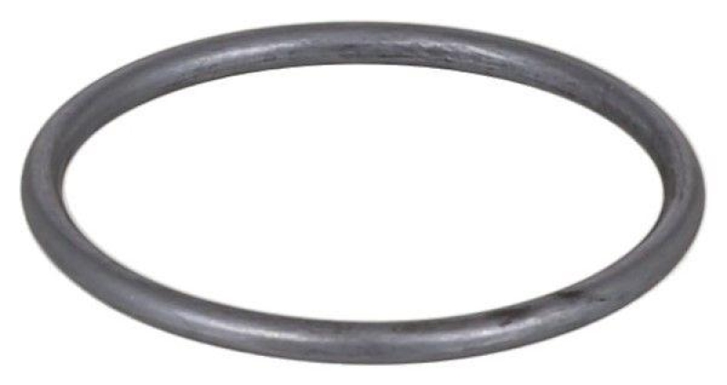 ELRING Dichtring