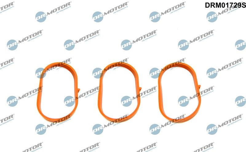 Dr.Motor Automotive Dichtungssatz, Ansaugkrümmer