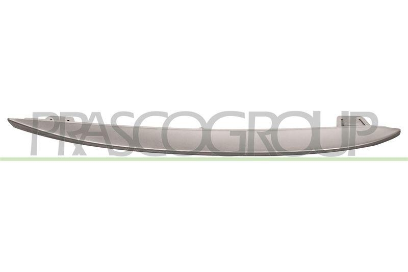 Trim/Protective Strip, radiator grille