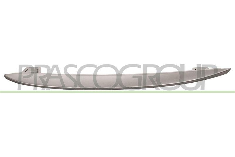 Trim/Protective Strip, radiator grille