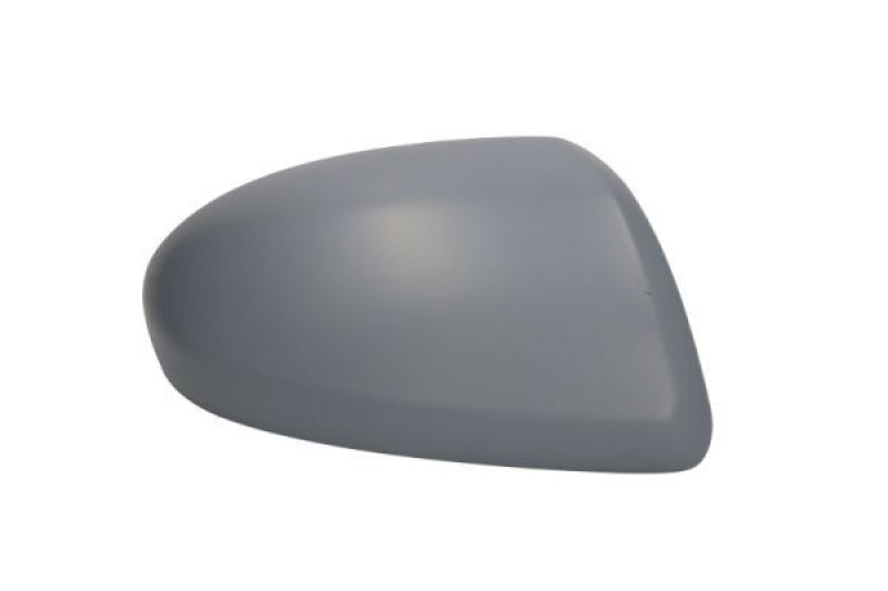 BLIC Housing, exterior mirror