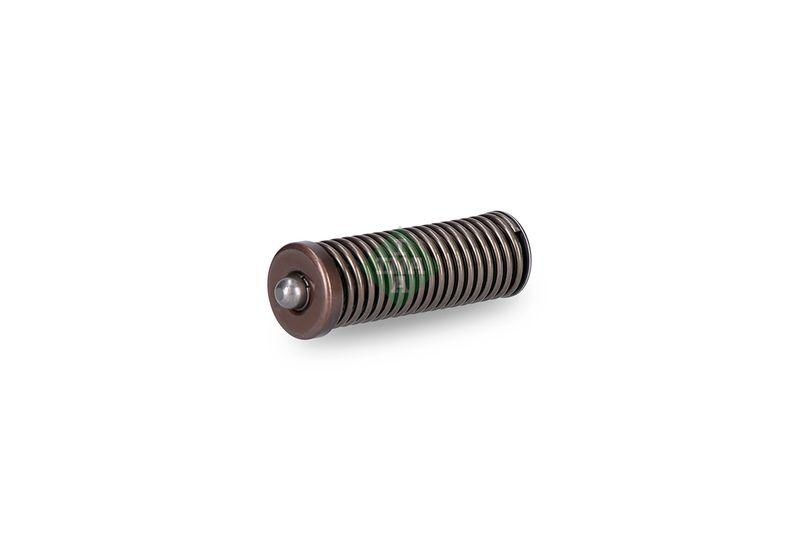 Schaeffler INA Spanner, Steuerkette