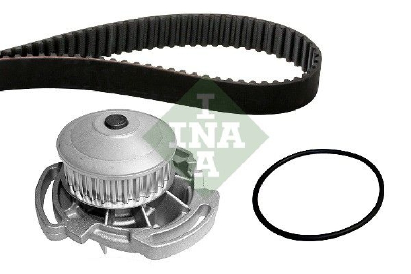 INA Water Pump & Timing Belt Set