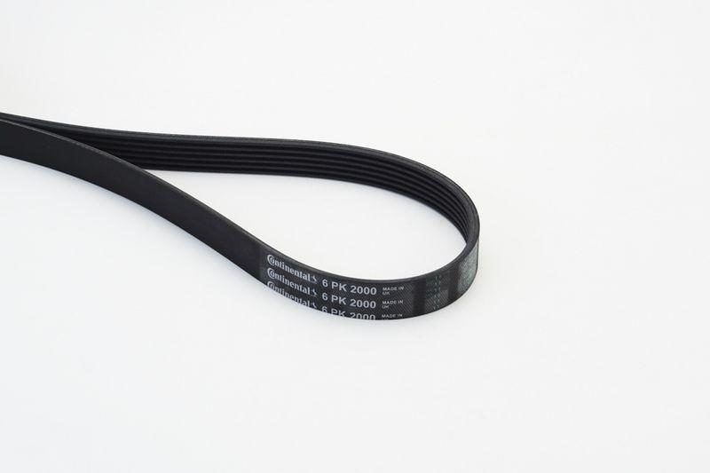 CONTINENTAL CTAM V-Ribbed Belt