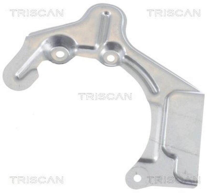TRISCAN Splash Panel, brake disc