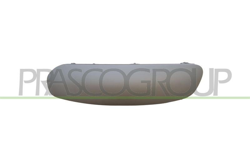 Trim/Protective Strip, bumper Premium