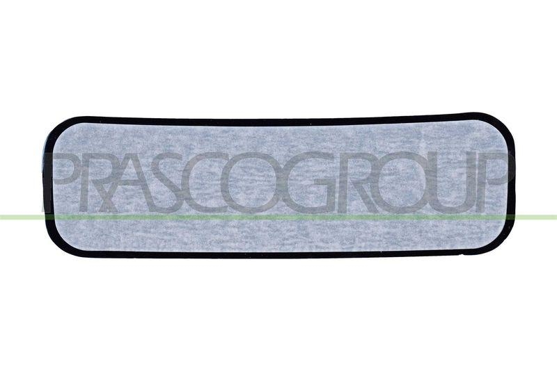 PRASCO Spiegelglas, Au&szlig;enspiegel FT9267515