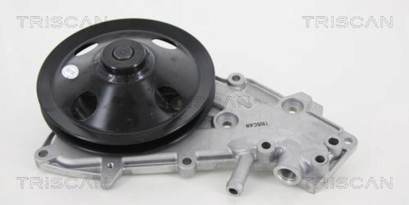 TRISCAN Wasserpumpe 8600 25004