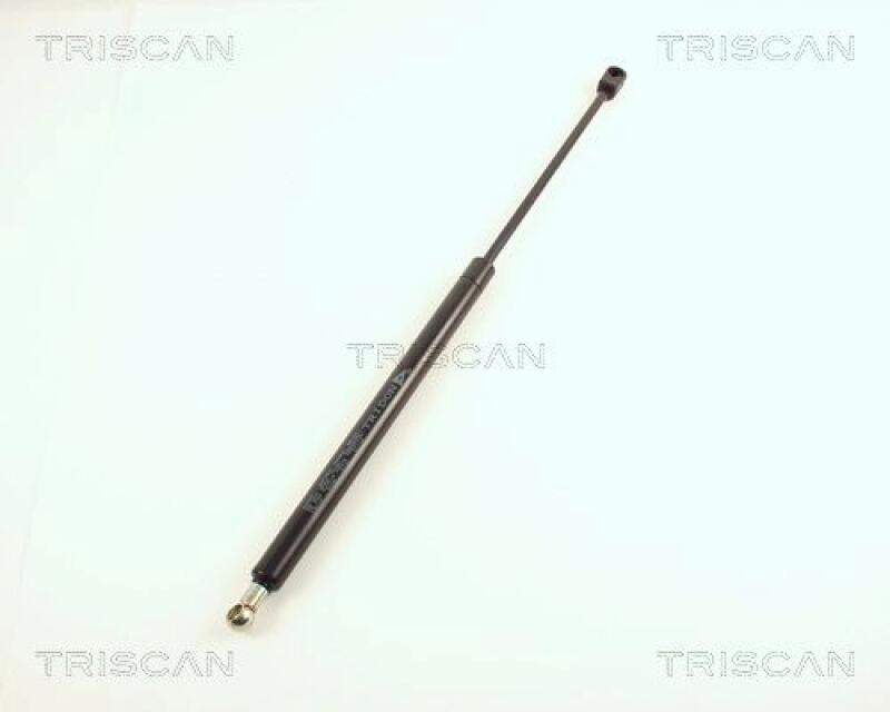 TRISCAN Gas Spring, boot-/cargo area
