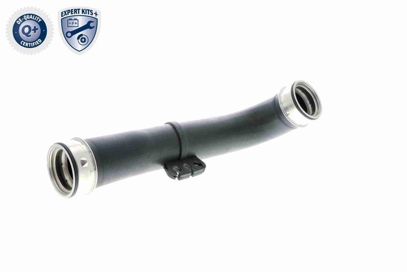 VAICO Charger Air Hose Q+, original equipment manufacturer quality