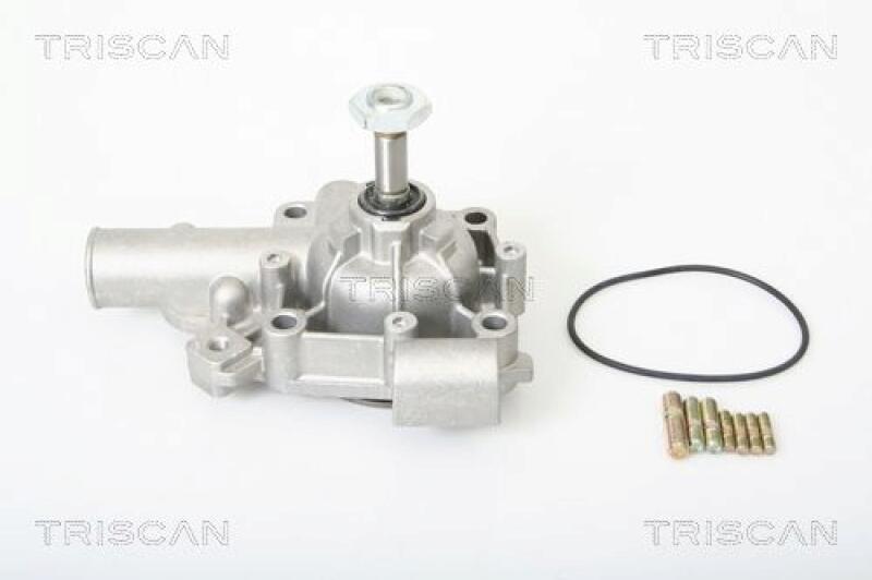TRISCAN Wasserpumpe 8600 25005