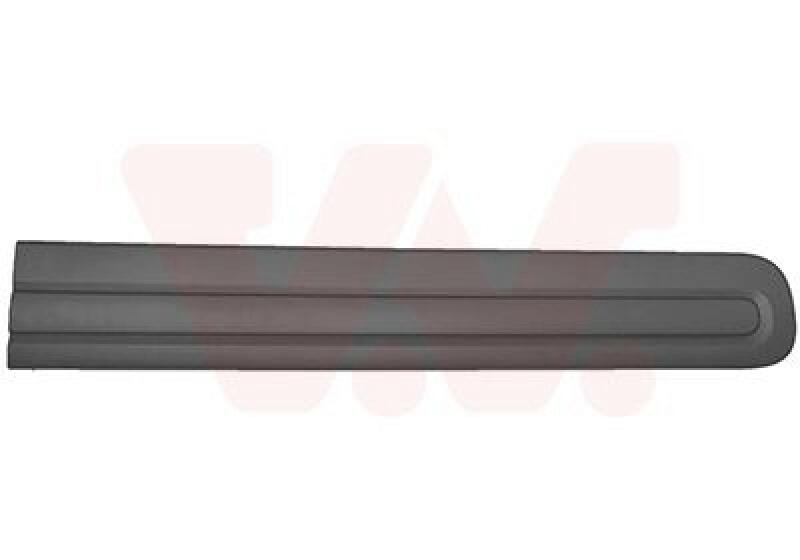 VAN WEZEL Trim/Protective Strip, door