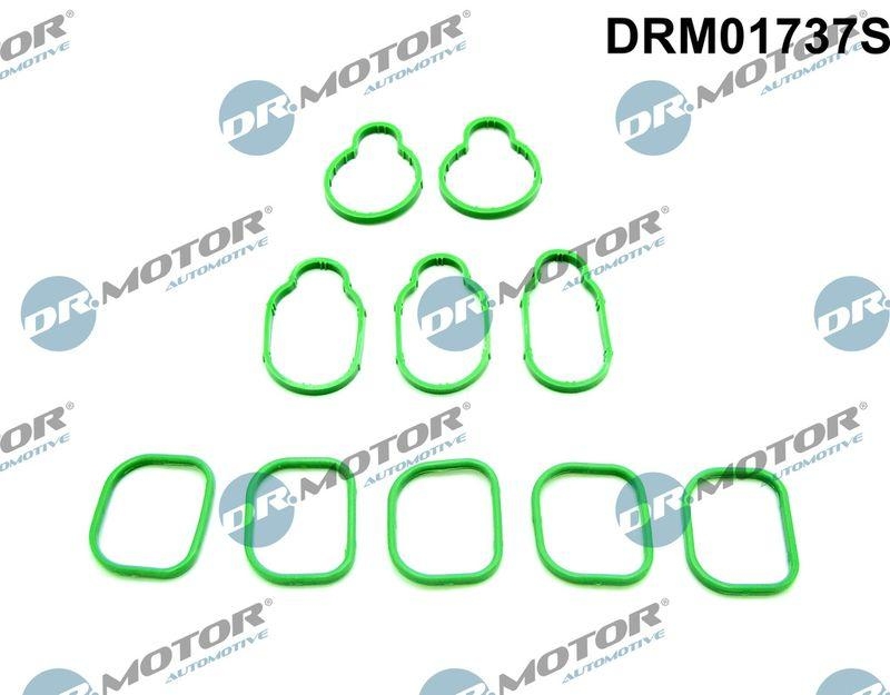 Dr.Motor Automotive Gasket Set, intake manifold