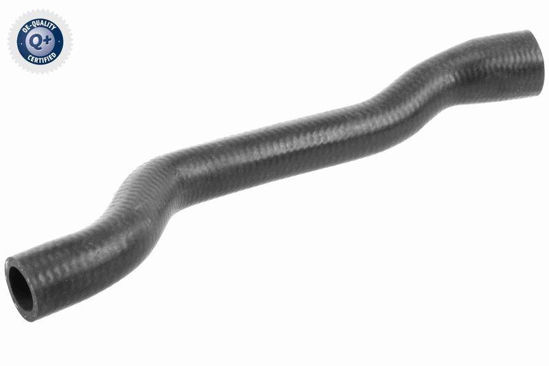 VAICO K&uuml;hlerschlauch Q+, Erstausr&uuml;sterqualit&auml;t V20-1349
