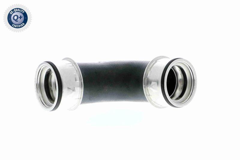 VAICO Charger Air Hose Q+, original equipment manufacturer quality