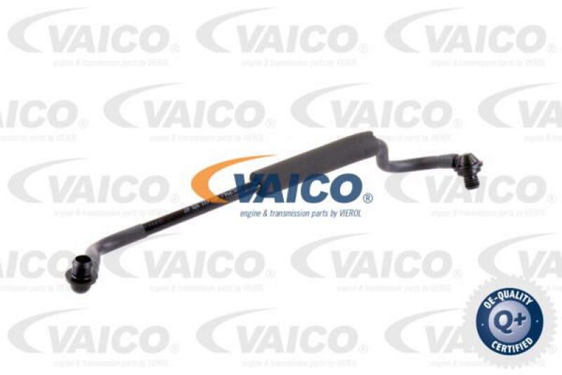 VAICO Vacuum Hose, braking system Q+, original equipment manufacturer quality