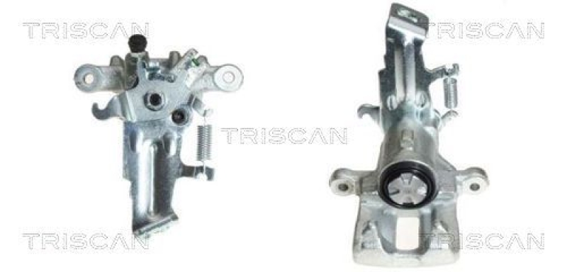 TRISCAN Bremssattel