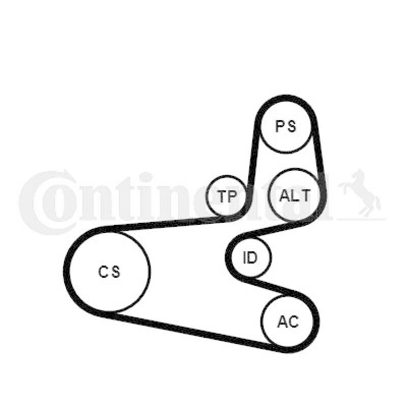 CONTITECH V-Ribbed Belt Set