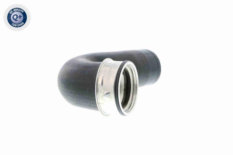 VAICO Charger Air Hose Q+, original equipment manufacturer quality