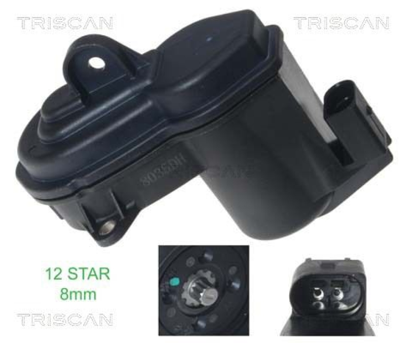 TRISCAN Control Element, parking brake caliper