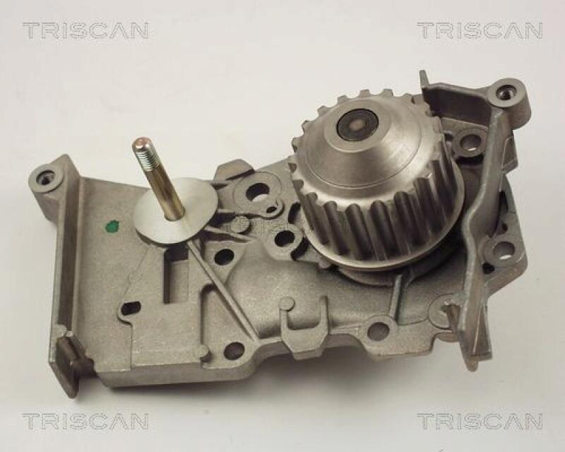 TRISCAN Wasserpumpe 8600 25012