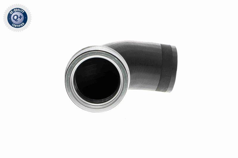 VAICO Charger Air Hose Q+, original equipment manufacturer quality