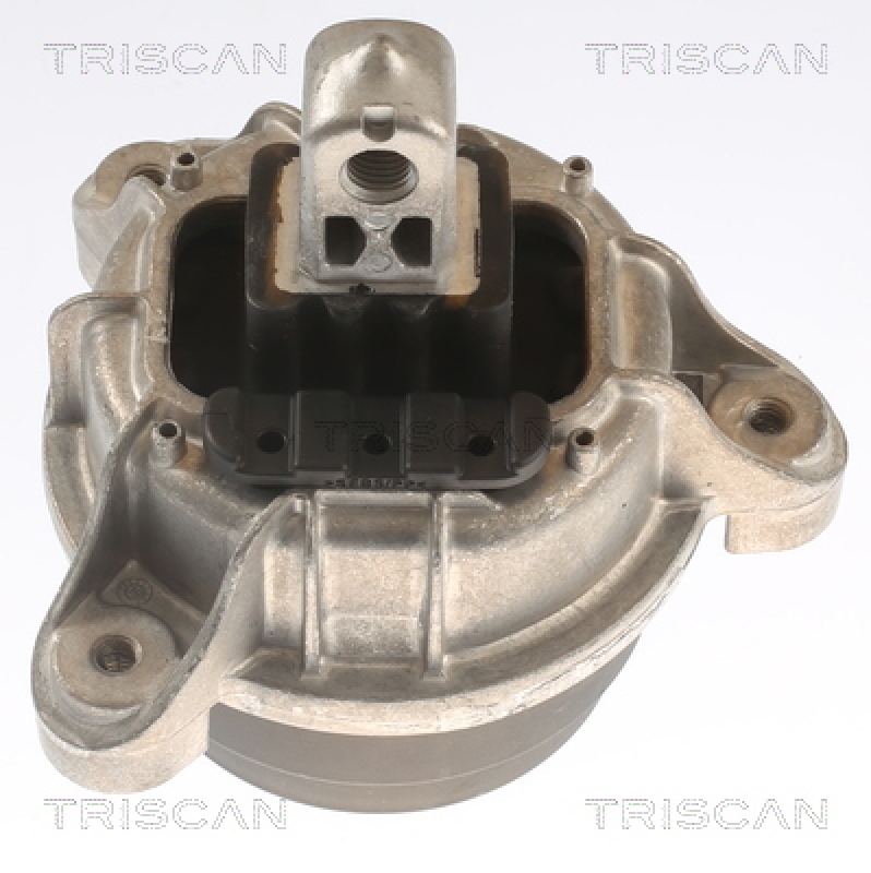 TRISCAN Lagerung, Motor 8505 11118