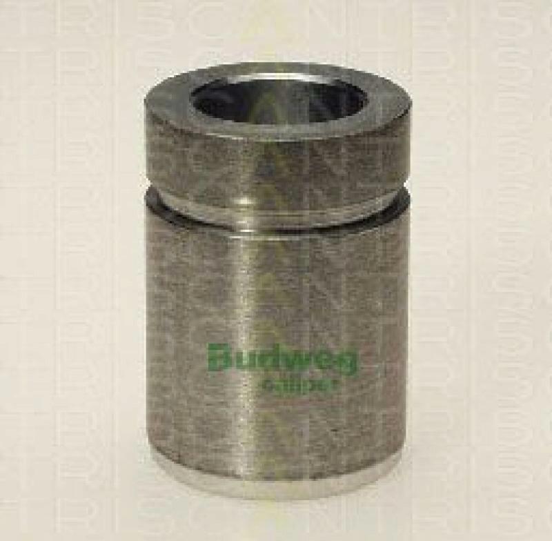 TRISCAN Piston, brake caliper