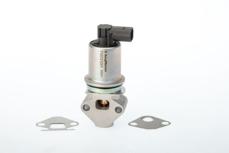 BorgWarner (Wahler) AGR-Ventil 710721D/1
