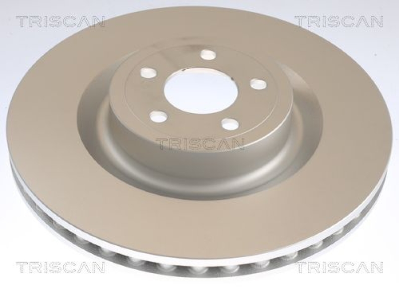 2x TRISCAN Brake Disc