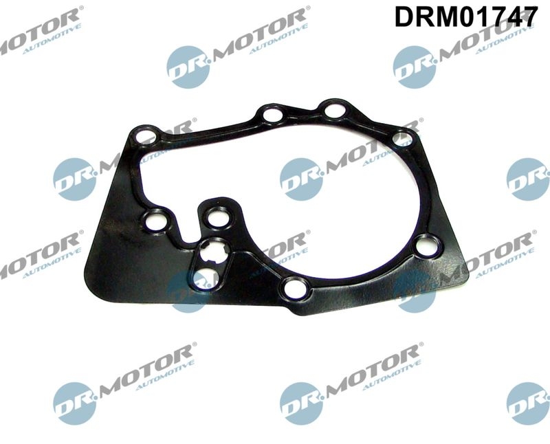 Dr.Motor Automotive Gasket, water pump