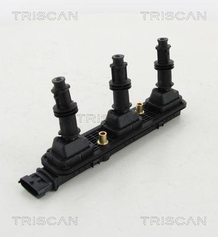TRISCAN Ignition Coil