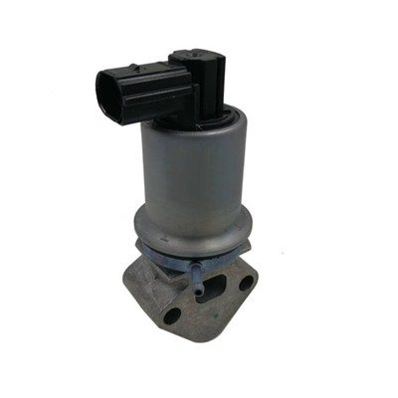 MAGNETI MARELLI EGR Valve