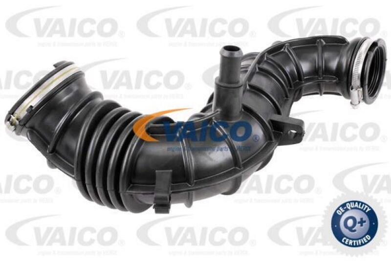 VAICO Intake Hose, air filter Q+, original equipment manufacturer quality