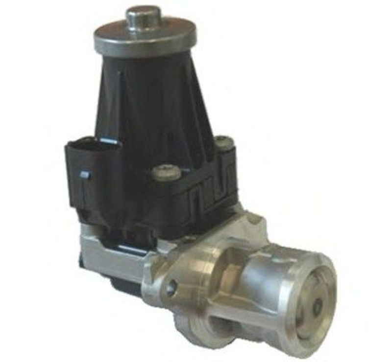 MAGNETI MARELLI EGR Valve