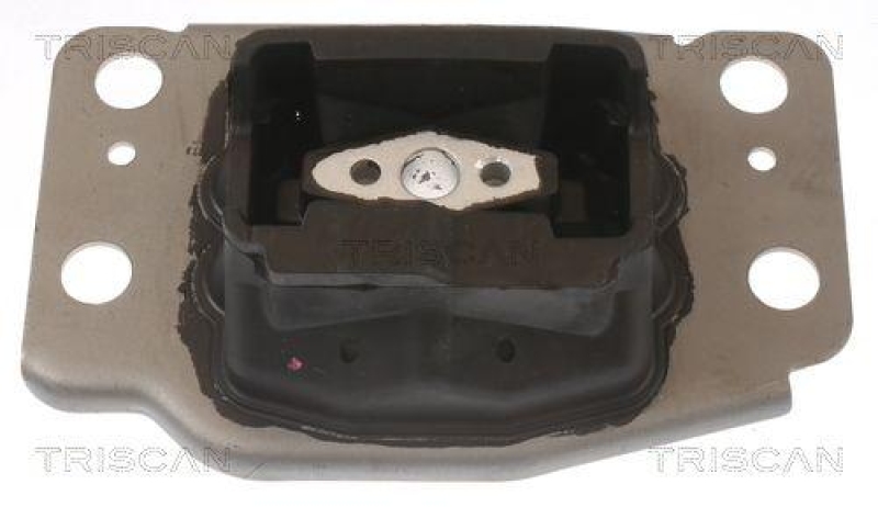 TRISCAN Lagerung, Motor 8505 10137