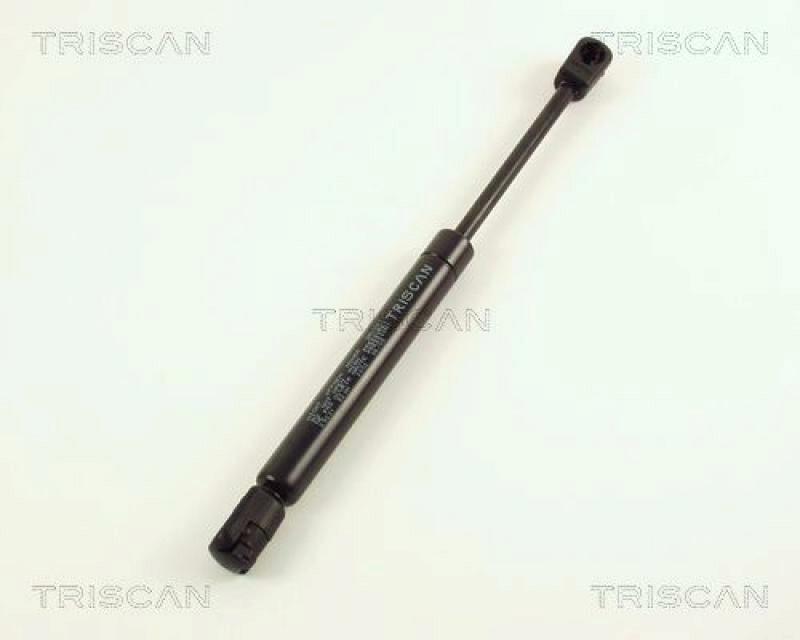 TRISCAN Gasfeder, Koffer-/Laderaum