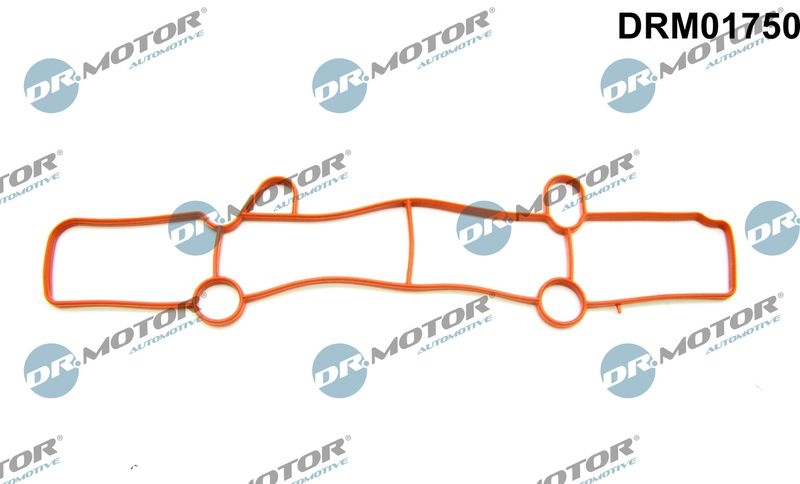 Dr.Motor Automotive Gasket, intake manifold