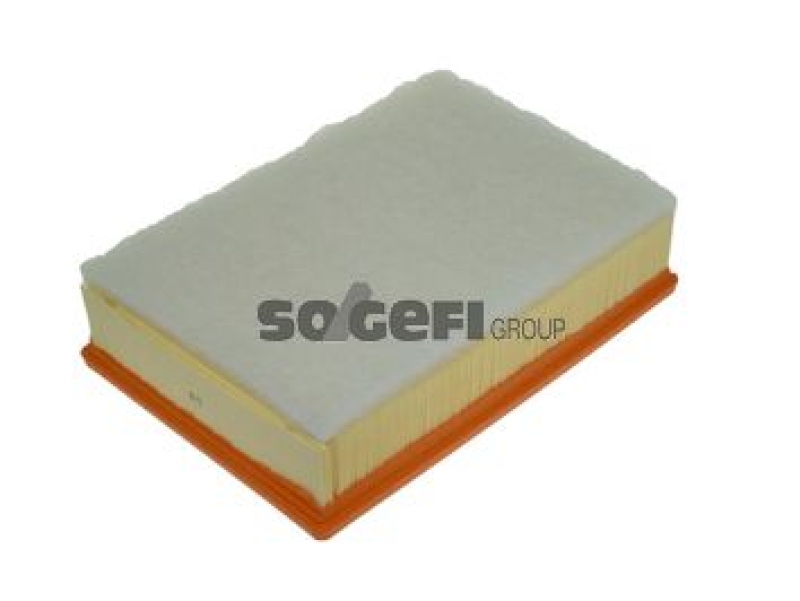 FRAM Air Filter