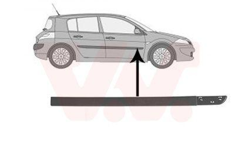 VAN WEZEL Trim/Protective Strip, door
